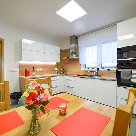 Apartment Volavka 2 *